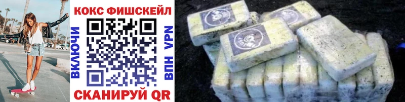 купить наркоту  Малмыж  Cocaine Fish Scale 
