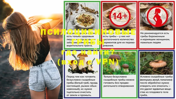 соль ск Богородицк