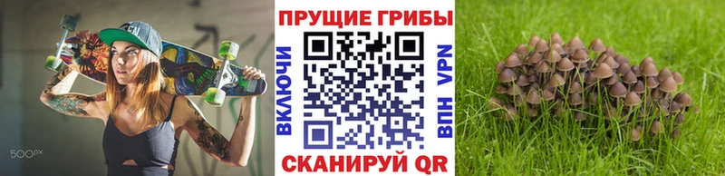 Галлюциногенные грибы Psilocybe  Малмыж 